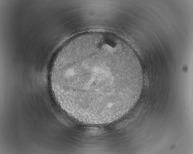 X0000116770347201001141455