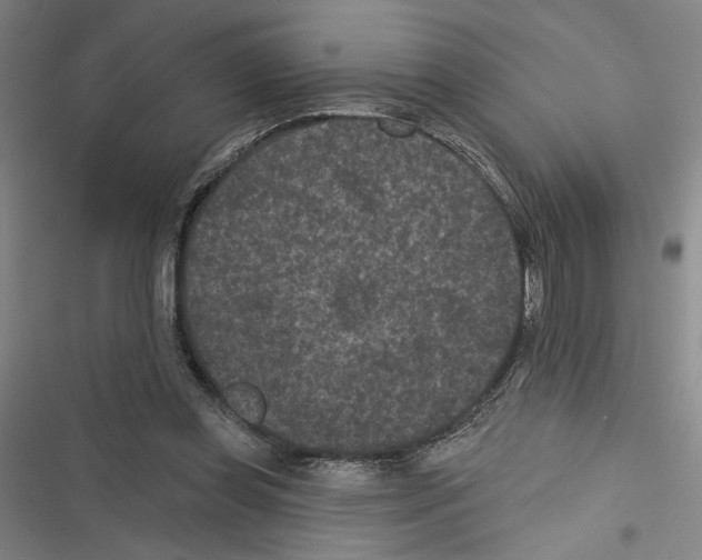 X0000116770349201001141455