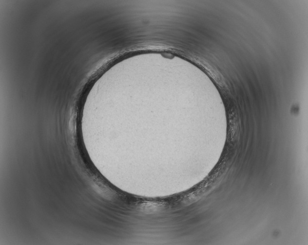 X0000116770350201001141455