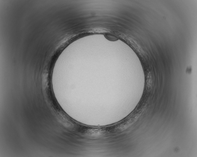 X0000116770351201001141455