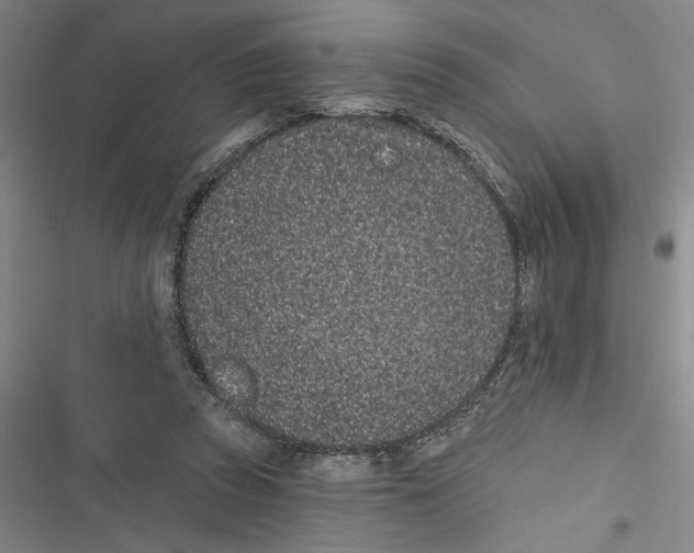 X0000116770353201001141455