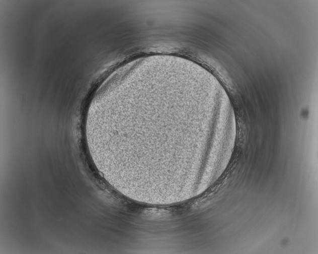 X0000116770354201001141455