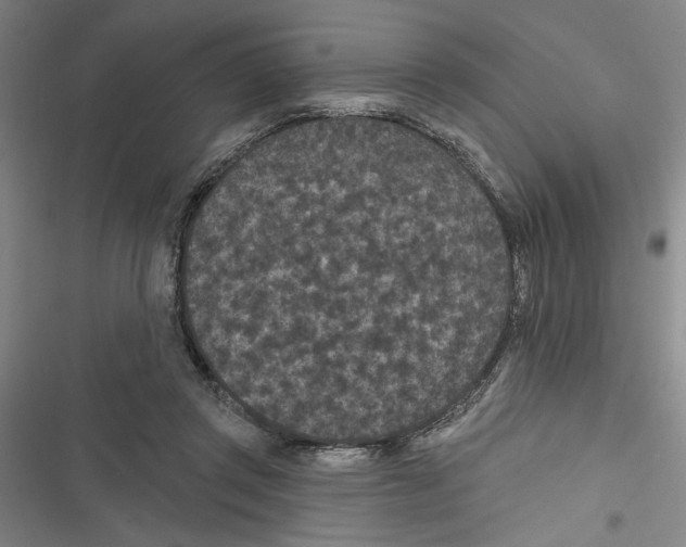 X0000116770357201001141455