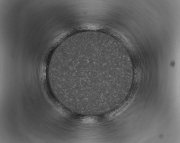 X0000116770358201001141455