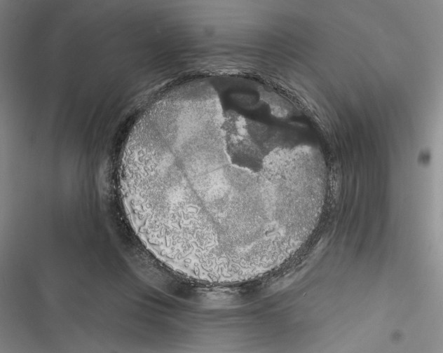 X0000116770359201001141455
