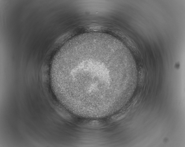 X0000116770361201001141455