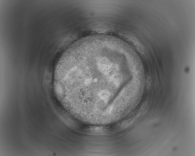 X0000116770365201001141455