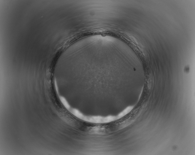 X0000116770366201001141455