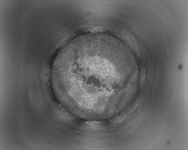 X0000116770367201001141455