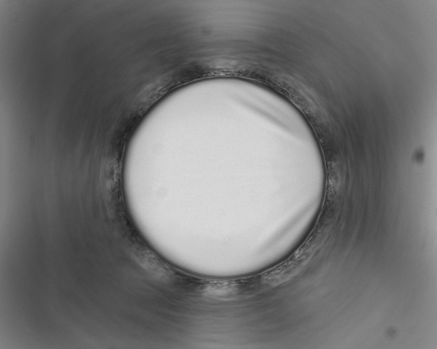 X0000116770369201001141455