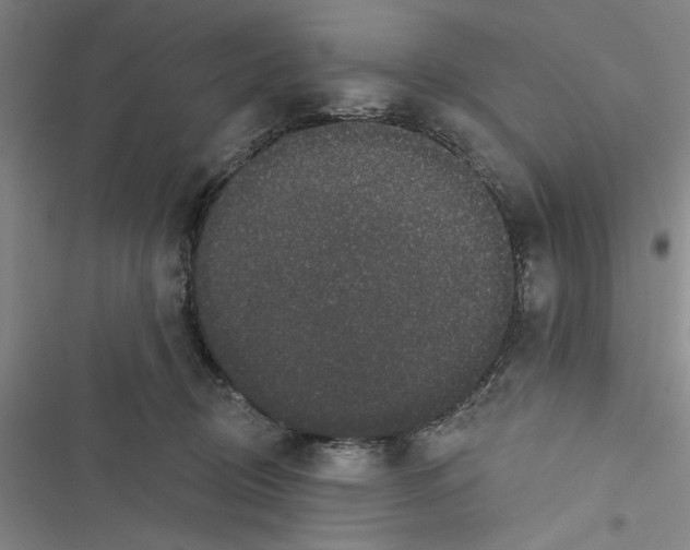 X0000116770370201001141455