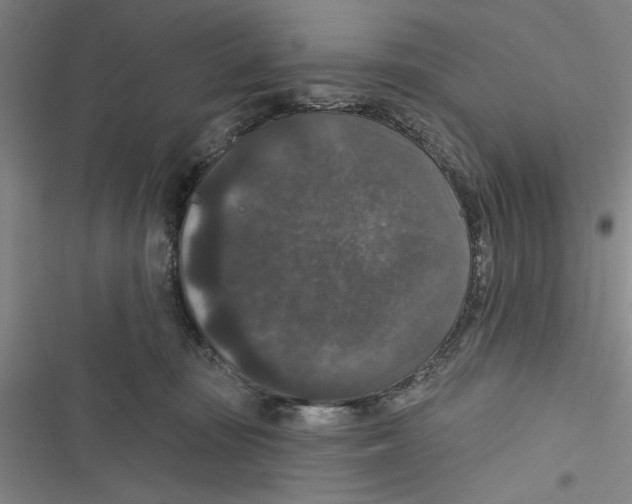 X0000116770371201001141456