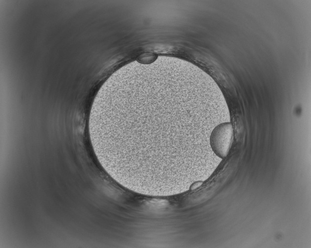 X0000116770374201001141456