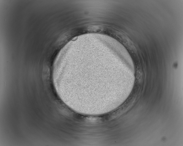 X0000116770375201001141456