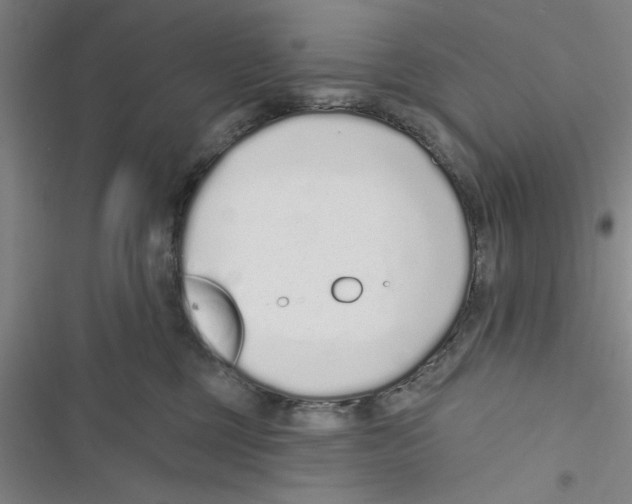 X0000116770377201001141456