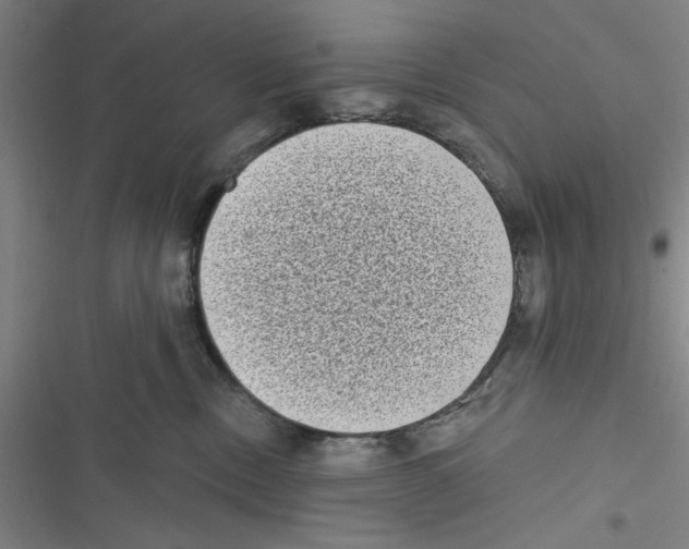 X0000116770378201001141456
