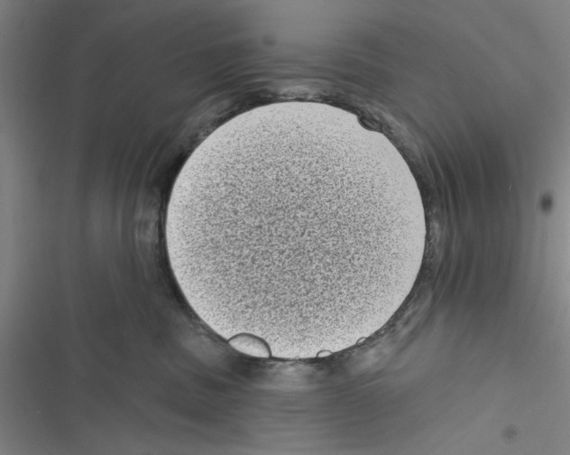 X0000116770379201001141456