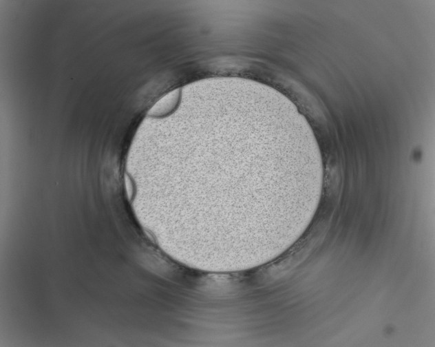 X0000116770381201001141456