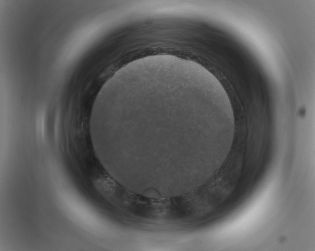 X0000116770382201001141456