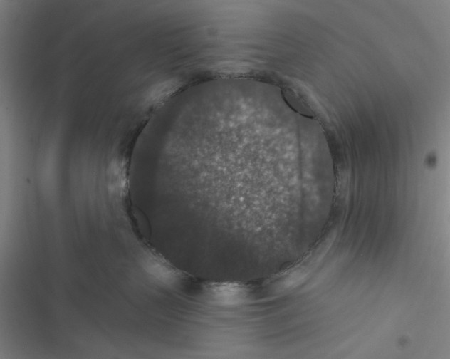 X0000116770383201001141456