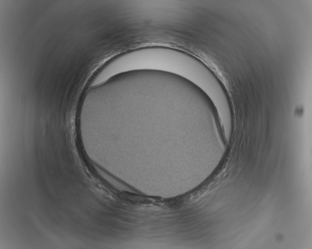 X0000116770386201001141455