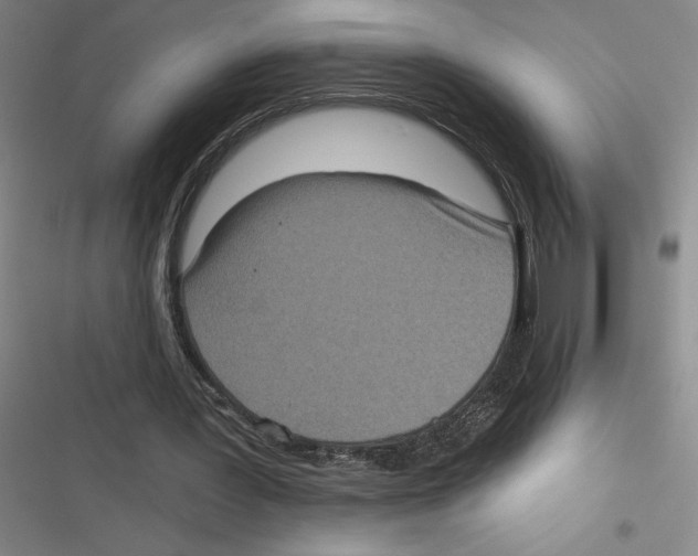 X0000116770387201001141455