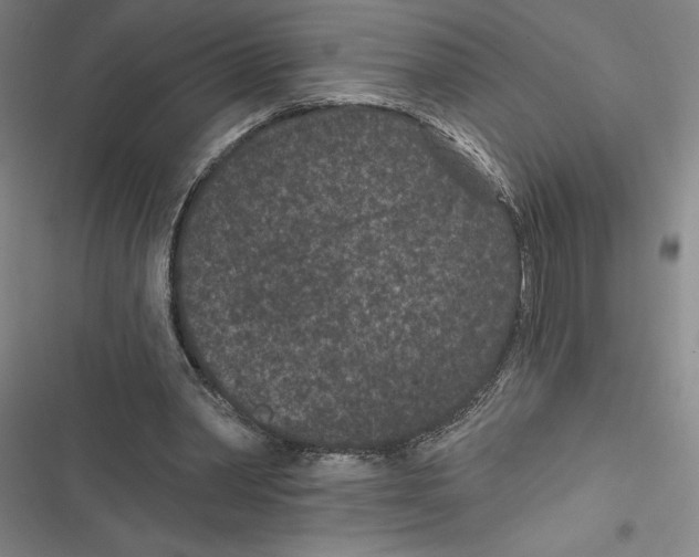X0000116770390201001141455