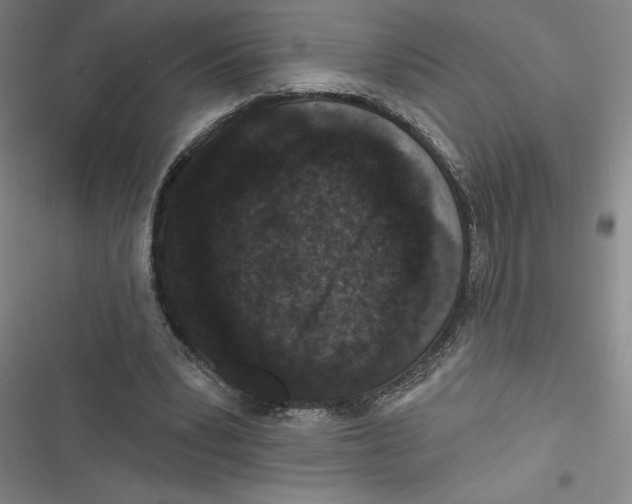 X0000116770391201001141455
