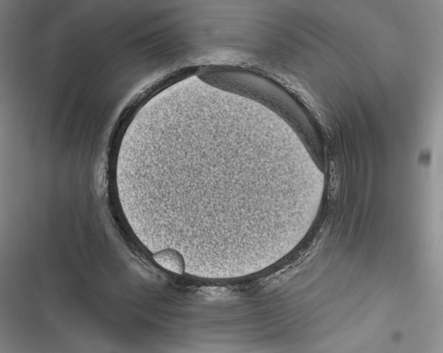 X0000116770392201001141455