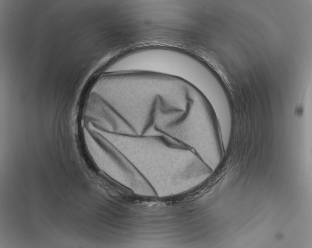 X0000116770395201001141455