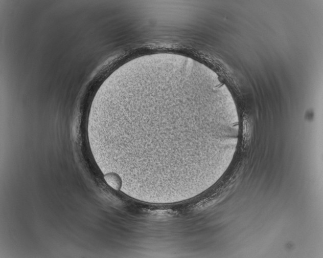 X0000116770396201001141455