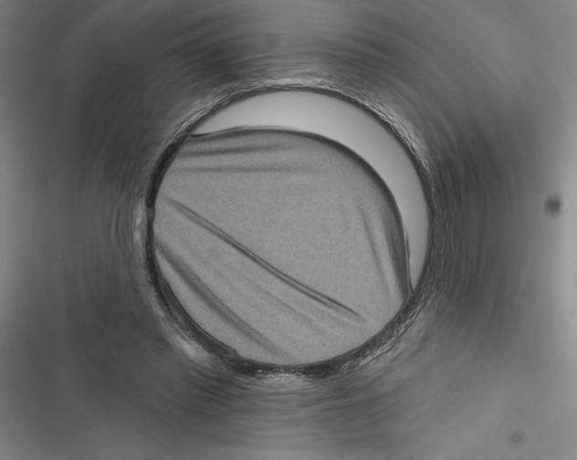 X0000116770397201001141455