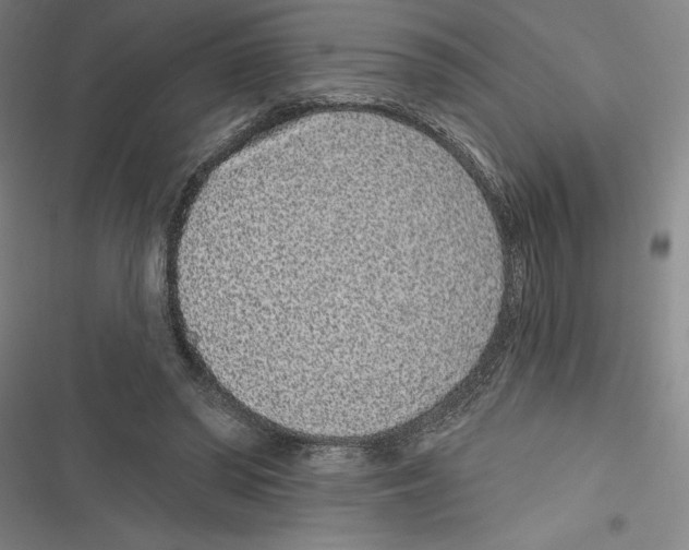 X0000116770398201001141455