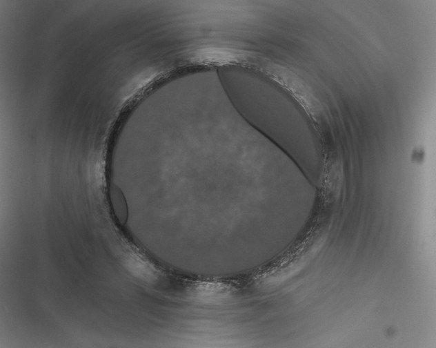 X0000116770399201001141455