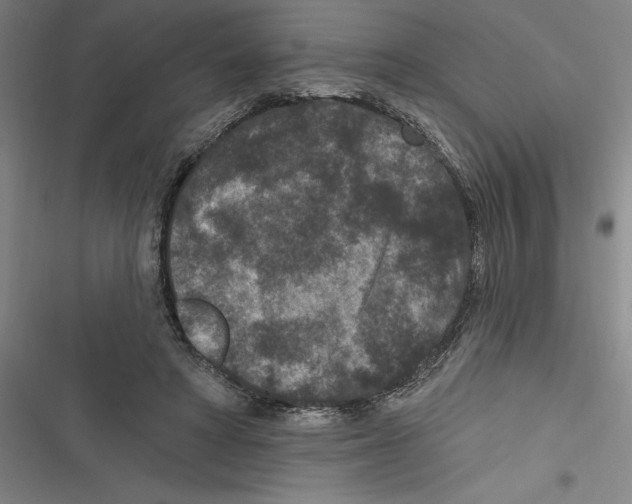 X0000116770402201001141455