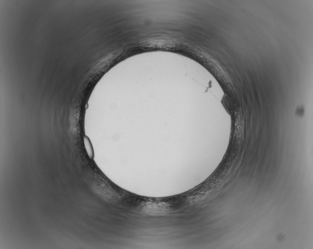 X0000116770403201001141455
