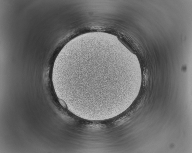 X0000116770404201001141455