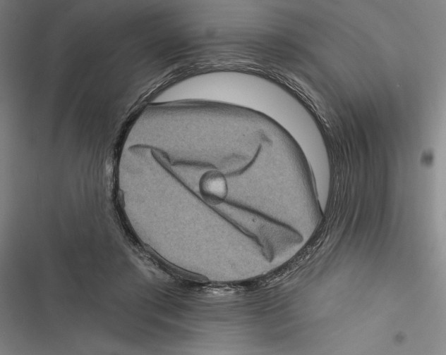 X0000116770405201001141455