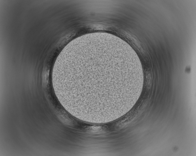 X0000116770406201001141455