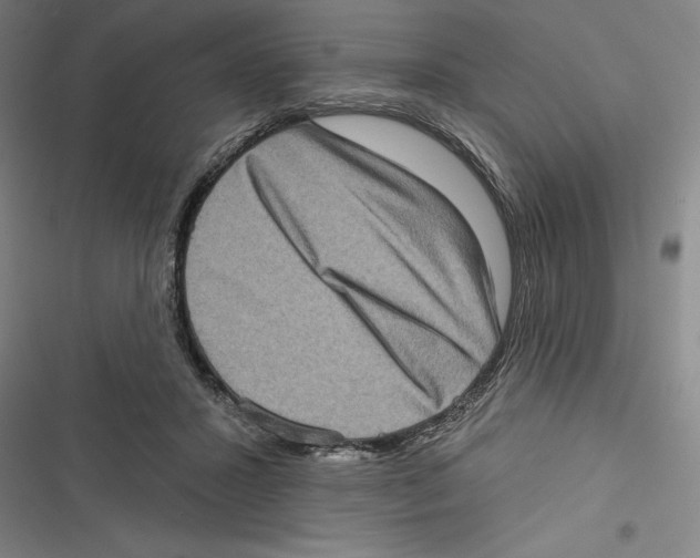 X0000116770407201001141455