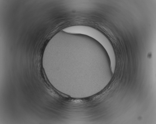 X0000116770409201001141455
