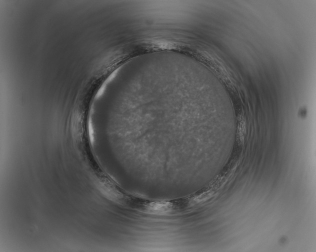 X0000116770410201001141455