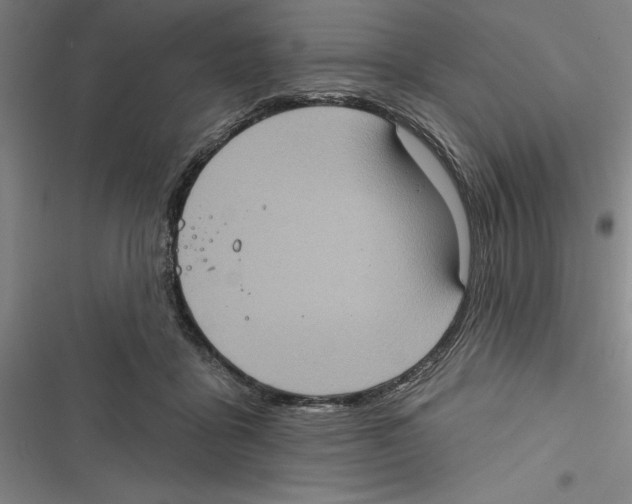 X0000116770411201001141455