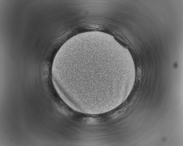 X0000116770412201001141455