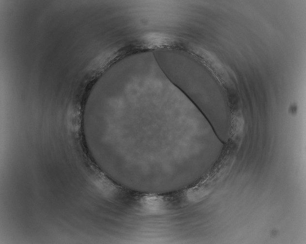 X0000116770413201001141455