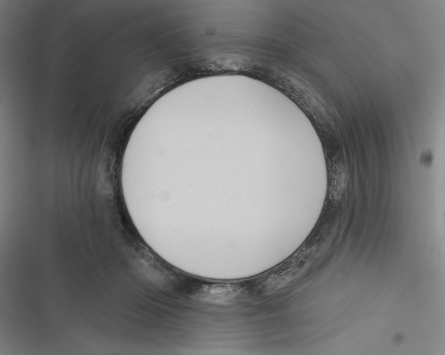 X0000116770414201001141455