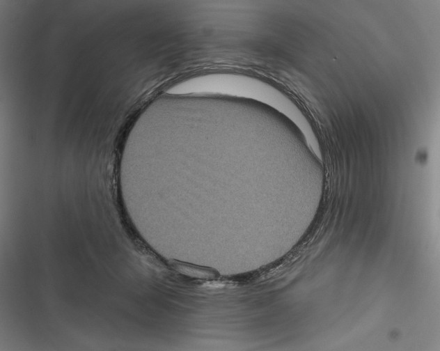 X0000116770415201001141455