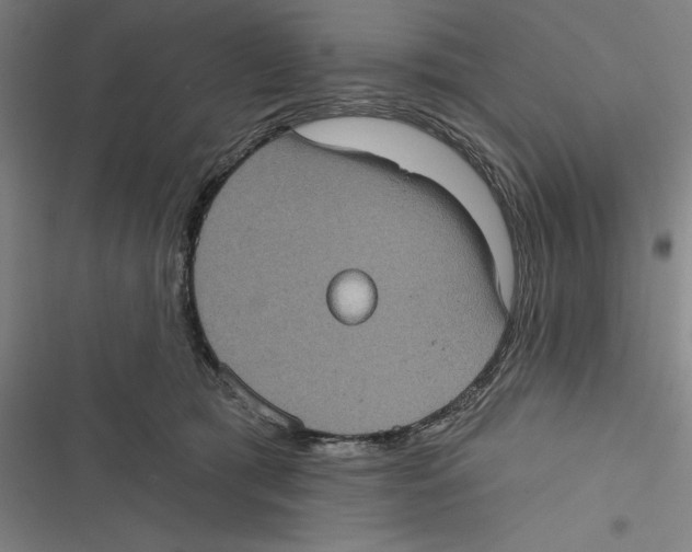 X0000116770417201001141455