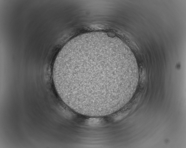 X0000116770418201001141455