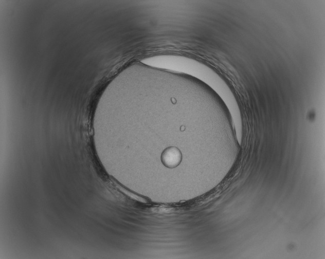 X0000116770419201001141455